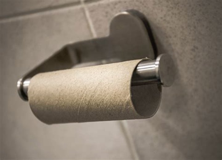 Can too much toilet paper clog a toilet?