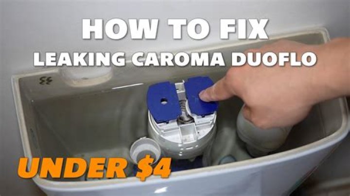 How do you fix a leak in a dual flush toilet?