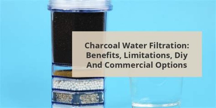Is charcoal in water filters bad for you?