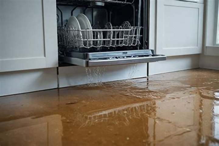 Why is my dishwasher partially draining?